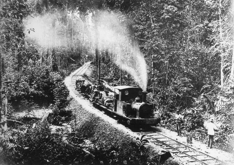 Malaysia: A steam engine travelling through the jungle in North Borneo, late 19th century