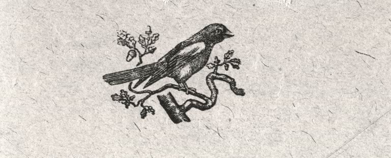 F. Kafka / Jackdaw as Emblem of Father