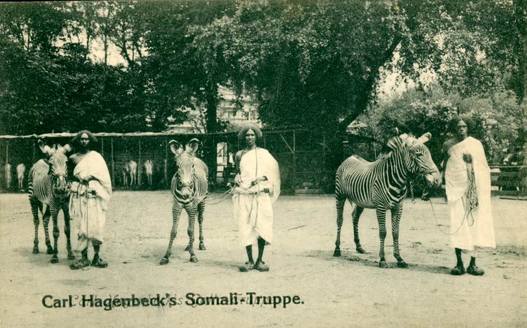 Völkerkunde, Somali / Fotopostkarte
